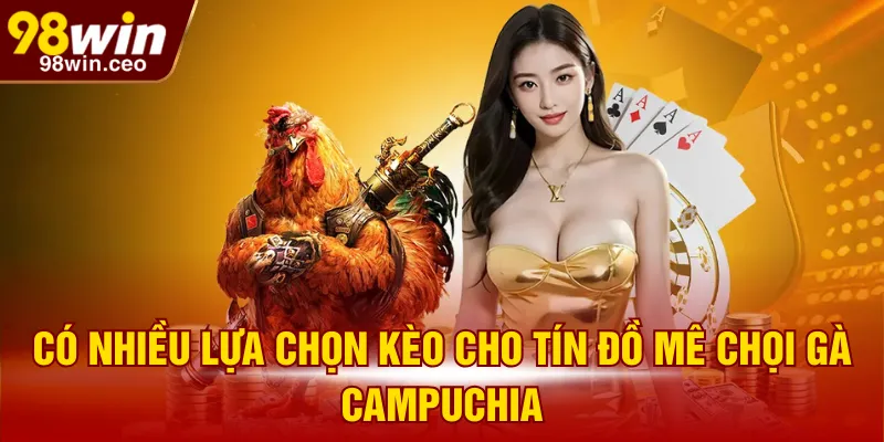 Có nhiều lựa chọn kèo cho tín đồ mê chọi gà Campuchia