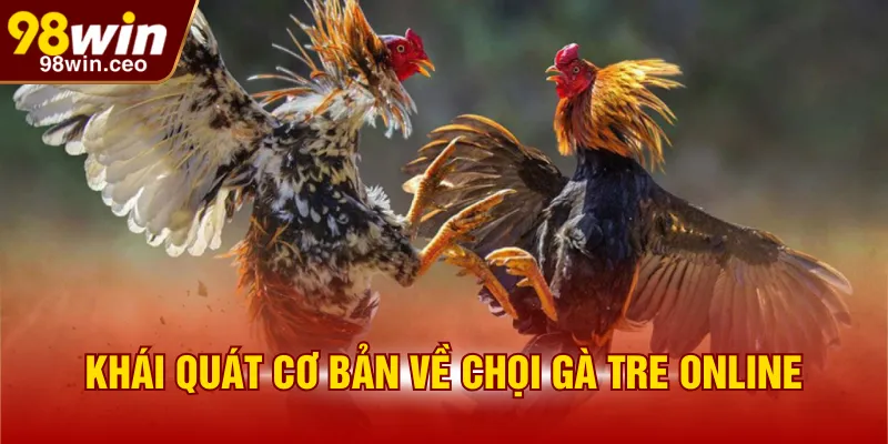 Khái quát cơ bản về chọi gà tre online