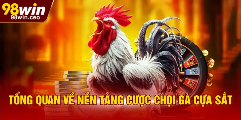 Tổng quan về nền tảng cược chọi gà cựa sắt